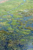 Botswana, Namibie, Zambie - Survol du delta - 