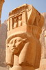 Egypte - Temple d'Hatchepsout - La d�esse Hathor