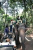 Inde - Parc National de Bandhavgarh - Mont�e sur l'�l�phant pour le 'tiger show'